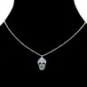 Collier pendentif Acier chirurgical Inox Tête de mort Charm Colac044-argenté